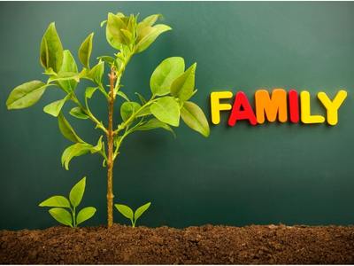 invloed familiesysteem patronen